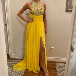 Beautiful Terani evening gown